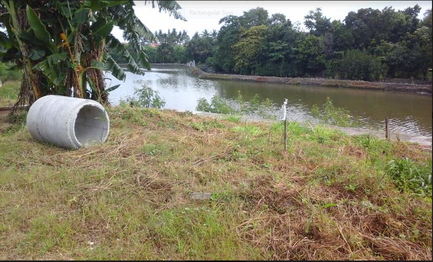 Vista de Bahia pic 4