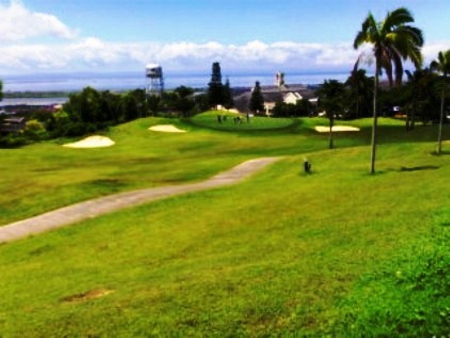Alta Vista View