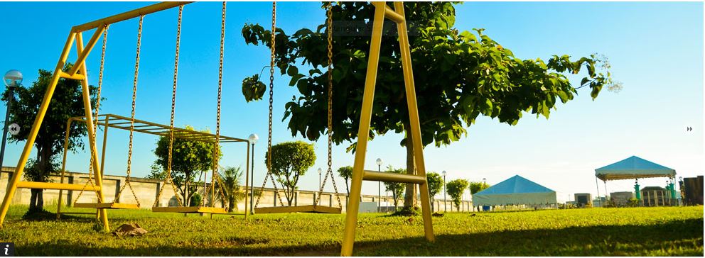 Evergreen playground