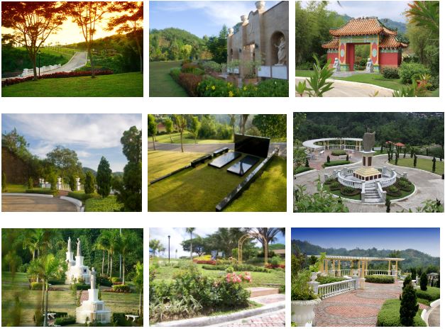 Golden Haven photo 2