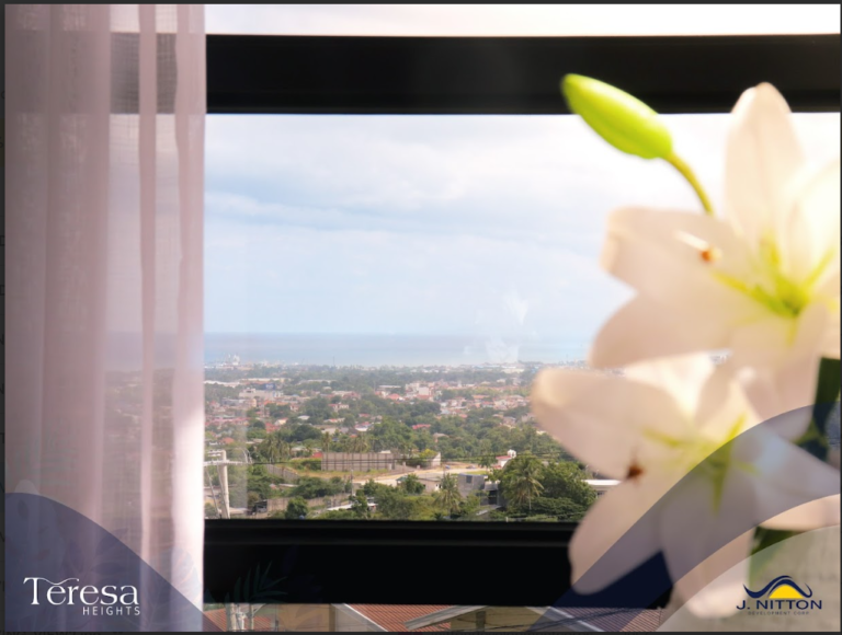 Teresa Heights pic 3