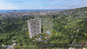 Kalea Aerial