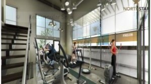Northstar ame1