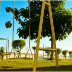 Evergreen playground